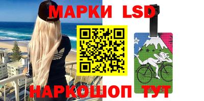 шишки Аргун
