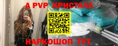 шишки Аргун
