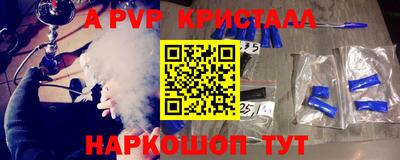 шишки Аргун